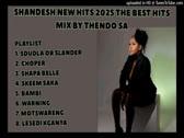 SHANDESH NEW BEST HITS 2025 MIX BY THENDO SA