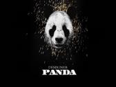 Desiigner - Panda (Audio)