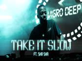 Vigro Deep - Take It Slow (Visualizer) ft. Sha Sha