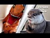 Otters Pranked by T-Rex Dinosaur!