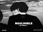 SirDrizzly- Ngilimele Audio )