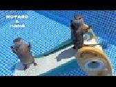 Otters Ready to Make a Splash in New Pool!