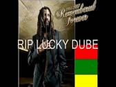 Lucky Dube - Nobody Can Stop Reggae