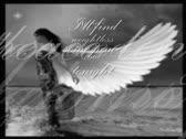 Sarah McLachlan - In the arms of an angel