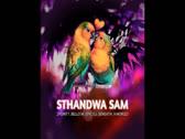 2point1 - Sthandwa Sam (feat. Bello M, Epic DJ, Seneath & X Morizo) - AMA Hits ???