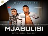 Siyazithandanela (feat. Mjolisi)
